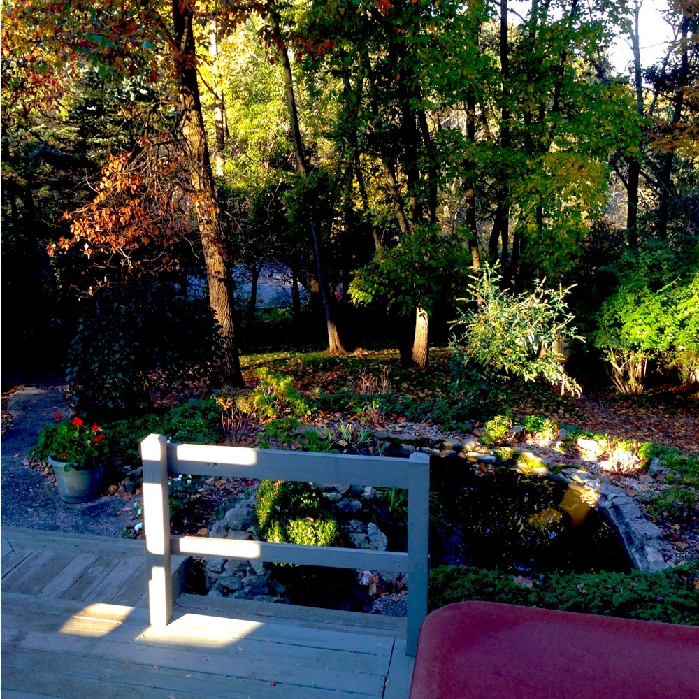 Our backyard!!